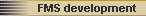 FMS development