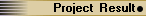 Result of Project Execution