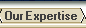 Our Expertise